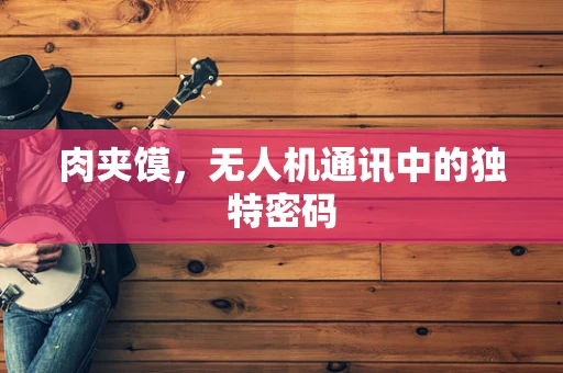肉夹馍，无人机通讯中的独特密码