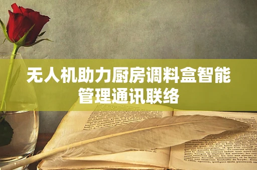 无人机助力厨房调料盒智能管理通讯联络