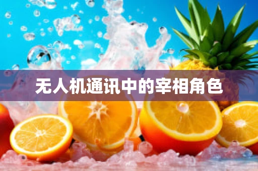 无人机通讯中的宰相角色