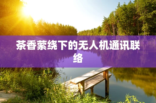 茶香萦绕下的无人机通讯联络