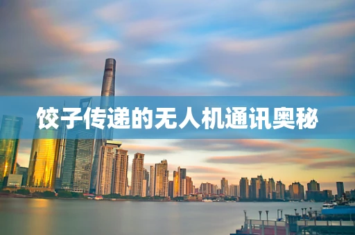 饺子传递的无人机通讯奥秘