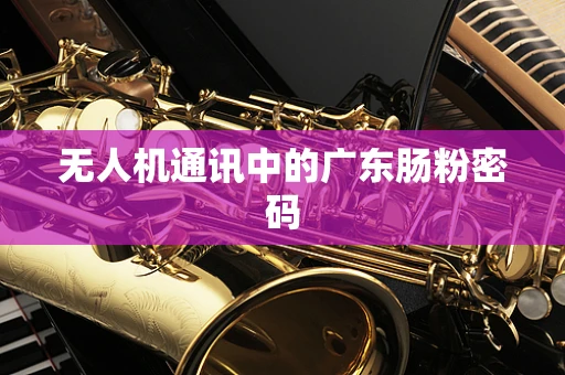 无人机通讯中的广东肠粉密码