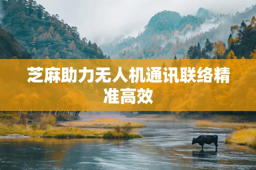 芝麻助力无人机通讯联络精准高效