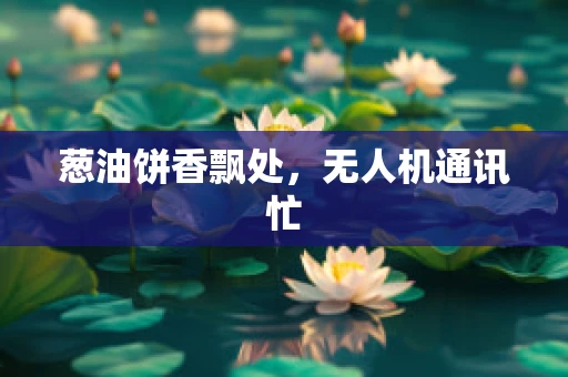 葱油饼香飘处，无人机通讯忙