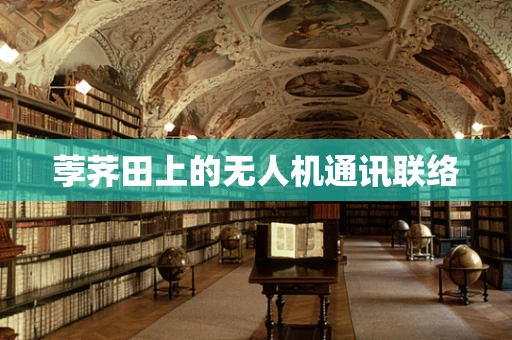 荸荠田上的无人机通讯联络
