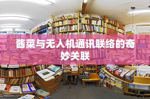 酱菜与无人机通讯联络的奇妙关联