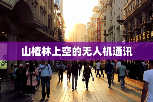 山楂林上空的无人机通讯