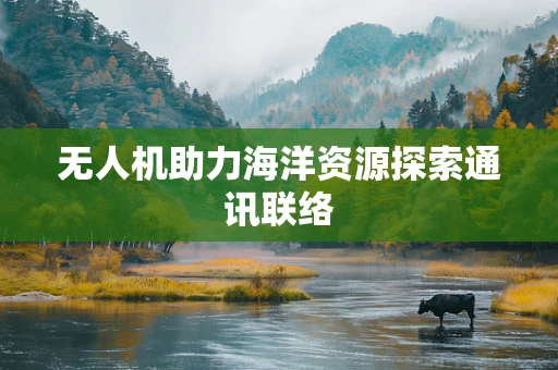 无人机助力海洋资源探索通讯联络