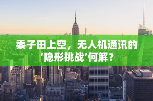 黍子田上空，无人机通讯的‘隐形挑战’何解？