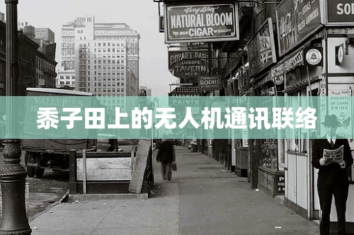 黍子田上的无人机通讯联络