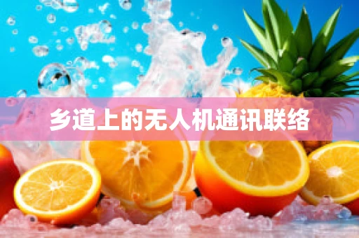 乡道上的无人机通讯联络