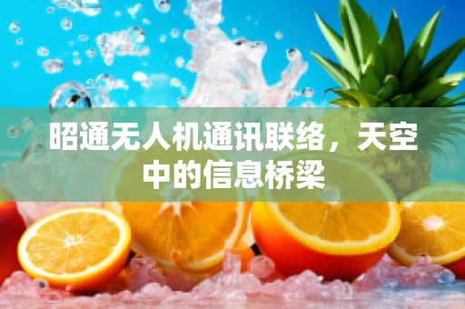 昭通无人机通讯联络，天空中的信息桥梁