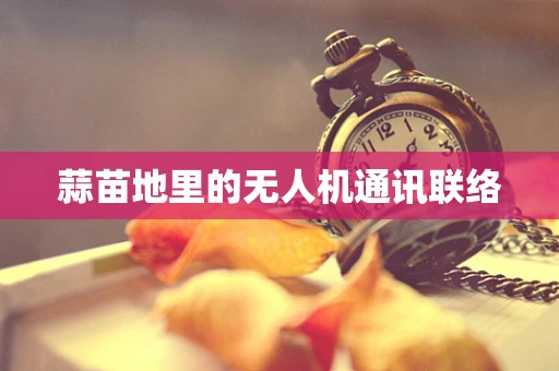 蒜苗地里的无人机通讯联络