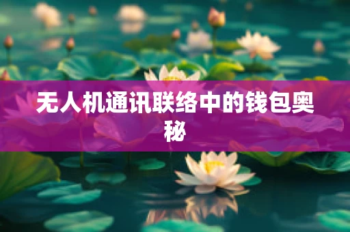 无人机通讯联络中的钱包奥秘