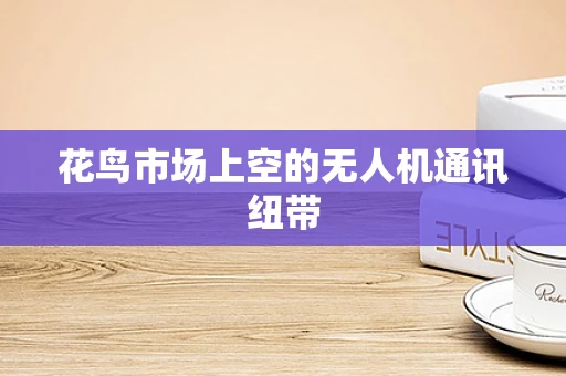 花鸟市场上空的无人机通讯纽带