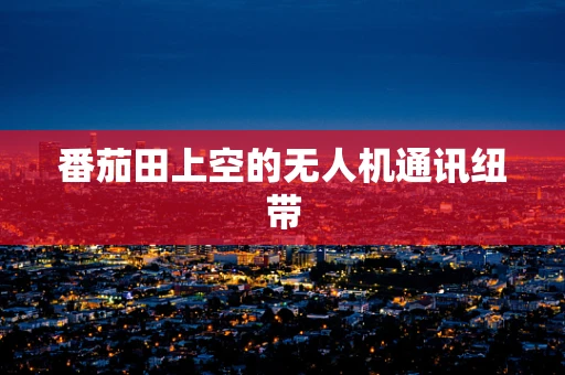 番茄田上空的无人机通讯纽带