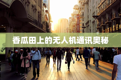 香瓜田上的无人机通讯奥秘