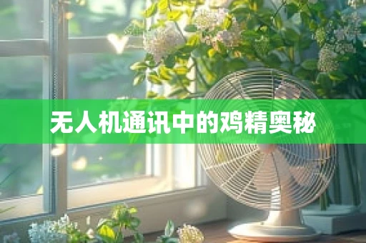 无人机通讯中的鸡精奥秘