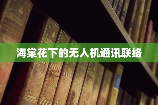 海棠花下的无人机通讯联络