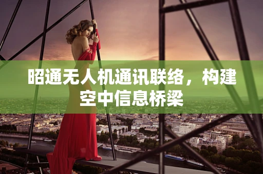 昭通无人机通讯联络，构建空中信息桥梁