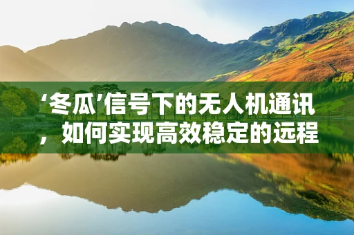‘冬瓜’信号下的无人机通讯，如何实现高效稳定的远程联络？