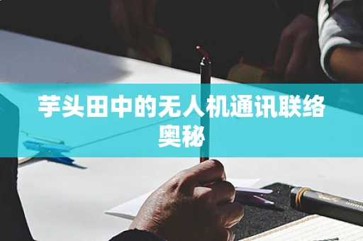 芋头田中的无人机通讯联络奥秘