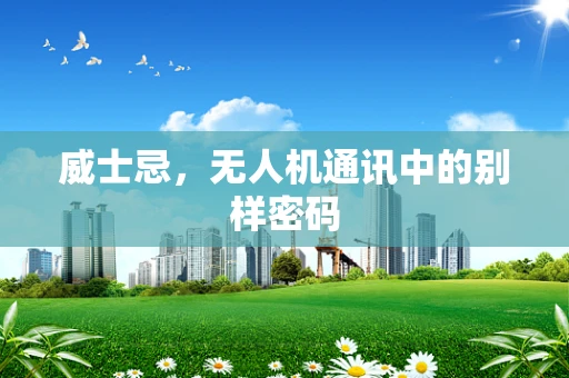 威士忌，无人机通讯中的别样密码