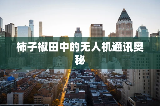 柿子椒田中的无人机通讯奥秘