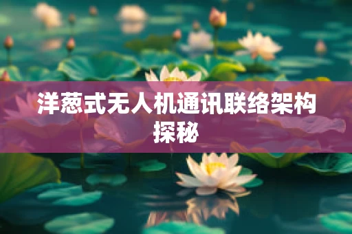 洋葱式无人机通讯联络架构探秘