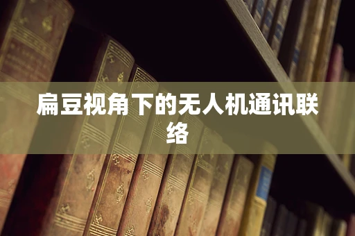 扁豆视角下的无人机通讯联络