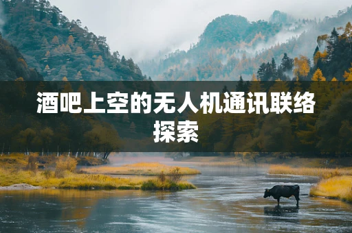 酒吧上空的无人机通讯联络探索
