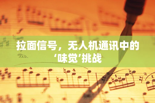 拉面信号，无人机通讯中的‘味觉’挑战