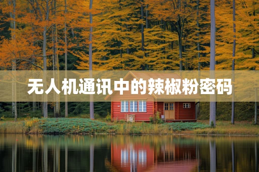 无人机通讯中的辣椒粉密码