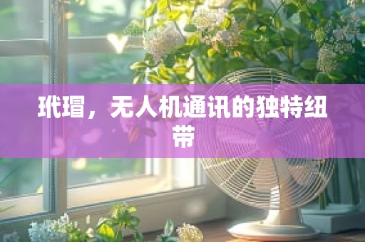 玳瑁，无人机通讯的独特纽带