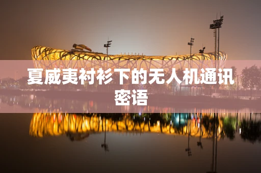 夏威夷衬衫下的无人机通讯密语