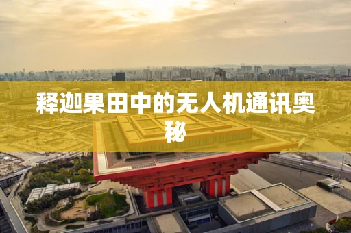 释迦果田中的无人机通讯奥秘