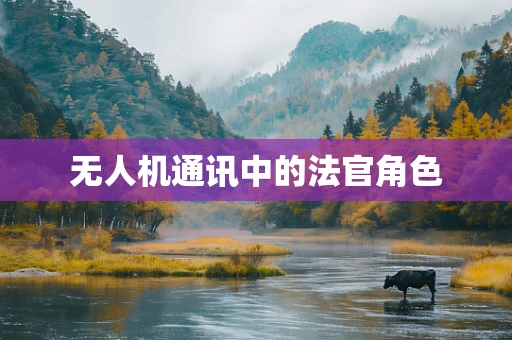 无人机通讯中的法官角色