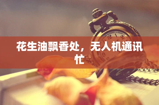 花生油飘香处，无人机通讯忙
