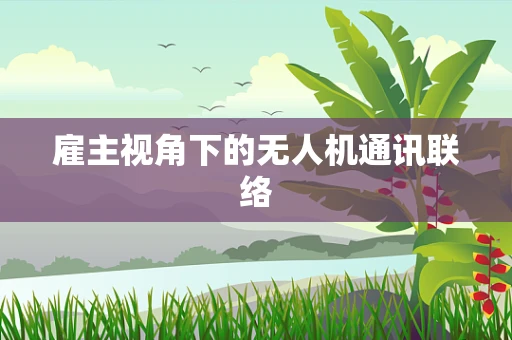 雇主视角下的无人机通讯联络