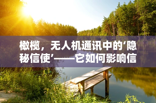 橄榄，无人机通讯中的‘隐秘信使’——它如何影响信号传输？
