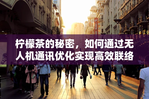 柠檬茶的秘密，如何通过无人机通讯优化实现高效联络？