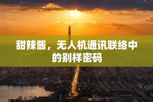 甜辣酱，无人机通讯联络中的别样密码