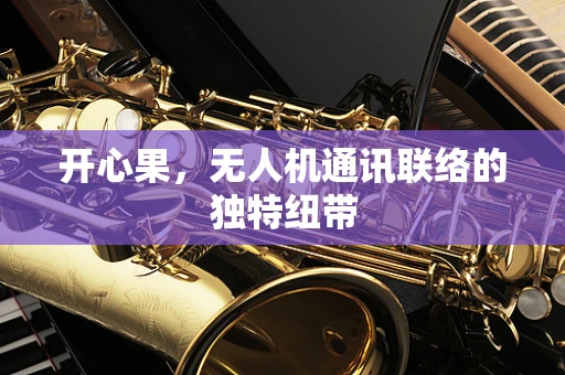 开心果，无人机通讯联络的独特纽带
