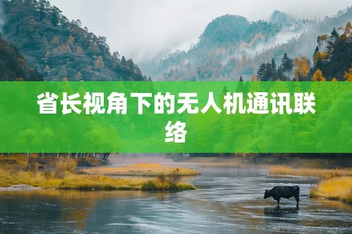 省长视角下的无人机通讯联络