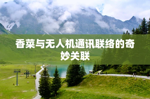 香菜与无人机通讯联络的奇妙关联