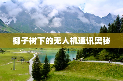 椰子树下的无人机通讯奥秘
