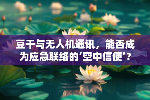 豆干与无人机通讯，能否成为应急联络的‘空中信使’？