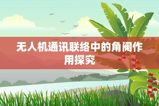 无人机通讯联络中的角阀作用探究