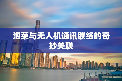 泡菜与无人机通讯联络的奇妙关联