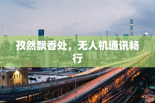 孜然飘香处，无人机通讯畅行